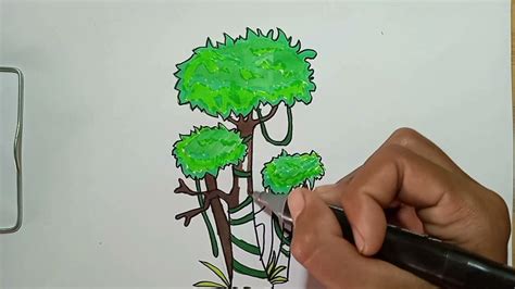 Tropical Rainforest Drawing With Color Rainforest Theme Rainforest | Hot Sex Picture