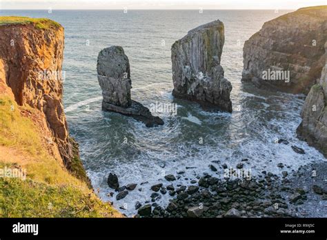 Stack Rocks, Castlemartin, Pembrokeshire, Wales Stock Photo - Alamy