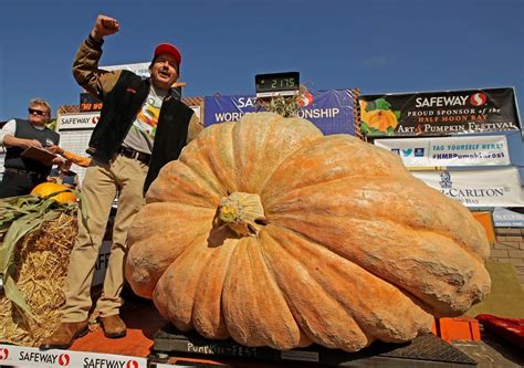 Giant pumpkin weighing nearly 1 ton sets California record - NEWS 1130