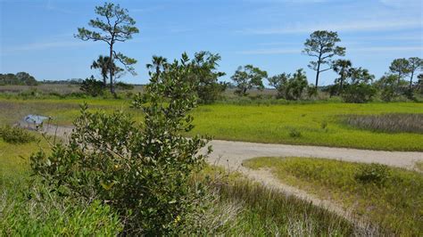 Fort Mose Boardwalk | Florida Hikes