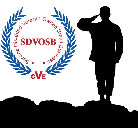 SDVOSB - Dynamic Solutions Technology