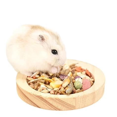 Hamster Food Bowl