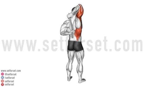 13 Best Deltoid Stretches (Front, Side, & Rear Delts) - SET FOR SET