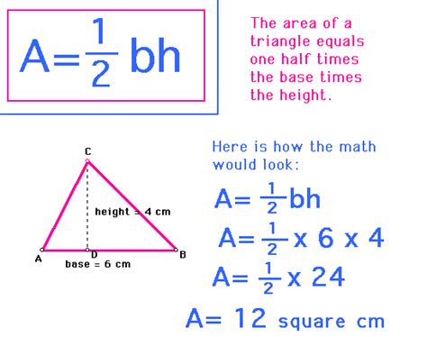 Formula for Area of a Triangle | Basic math skills, Math blog, Studying math