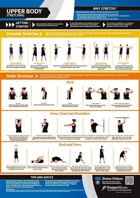 Upper Body Stretching Dynamic Static Stretches Laminated Home Gym Poster Free Online Video ...