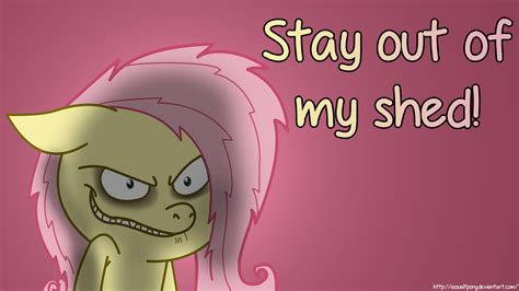 Fluttershy Stay out of my shed! Wallpaper by FlipsideEquis on DeviantArt