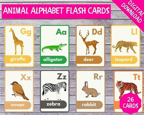 Animal Alphabet Flashcards Alphabet Flashcards - Etsy