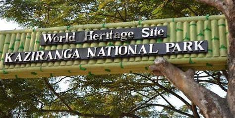 Kaziranga National Park Shuts its Gates for Visitors for the Season