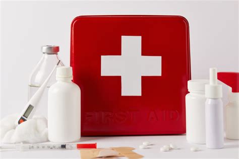 First Aid Kit Ideas For Your Pets | LaptrinhX / News