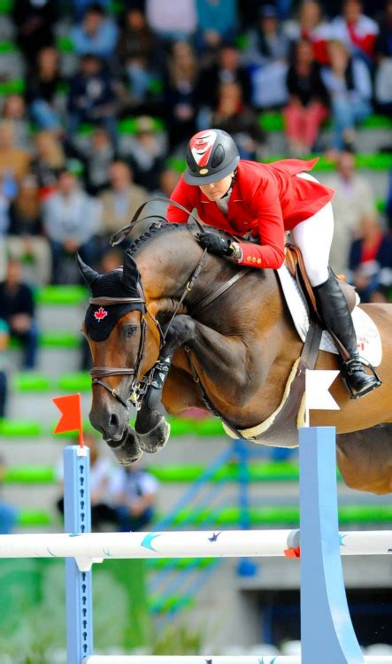 : Photo | Show jumping horses, Eventing horses, Show horses