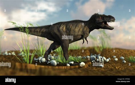 tyrannosaurus hunting Stock Photo - Alamy