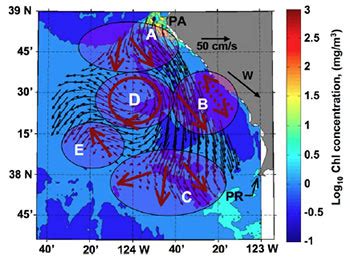 Physical Oceanography | Coastal and Marine Sciences Institute