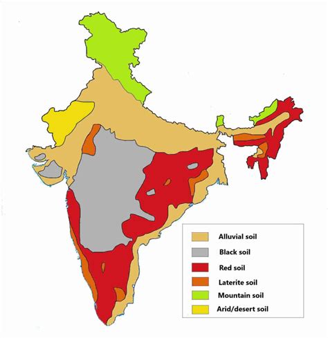 Major Soil Types Of India Map Get Map Update Images And Photos Finder ...