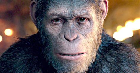 Andy Serkis Becomes Caesar in War for the Planet of the Apes Preview