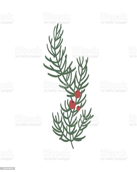 Pine Leaves Are Drawn By Hand In An Isolated Background Stock ...