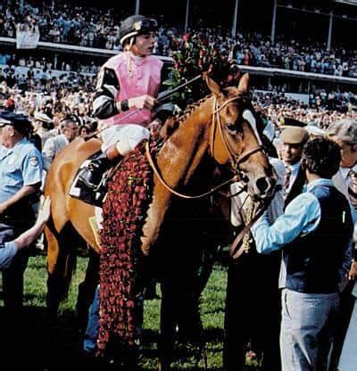 Affirmed: The Last Crown Winner