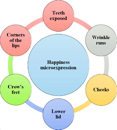 Happiness microexpression factors. | Download Scientific Diagram