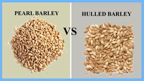 hulled barley recipes | Deporecipe.co