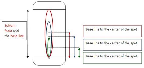 RF Value in Chromatography