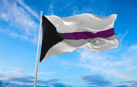 Demisexual Pride Flag - Grand Rapids Pride Center