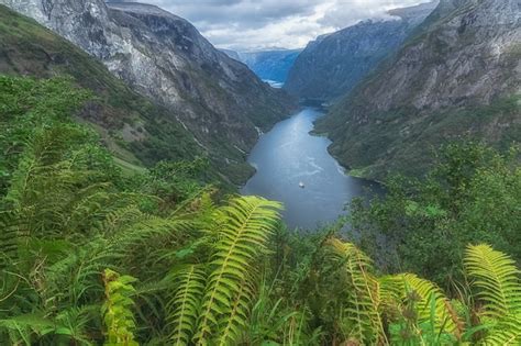 Premium Photo | Aerial view of sognefjord; norway.