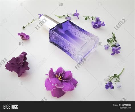 Violet Perfume Bottle Image & Photo (Free Trial) | Bigstock