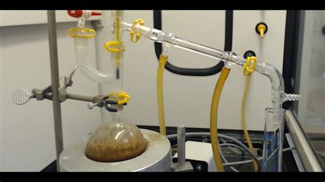 Steam Distillation Clove Oil | immigrant.com.tw