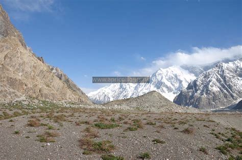 Batura Glacier Trek - Book Now - 2024-25 | Apricot Tours