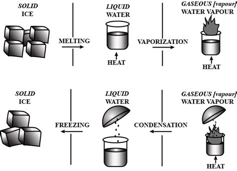 With reference to ice, water, and water vapour show diagrammatically the change of state of ...