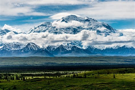 FeedbackBliss: Denali National Park Alaska