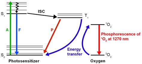 Singlet Oxygen | PicoQuant