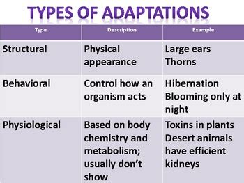 Types of Adaptations Anchor Chart by Emily Hurst | TpT