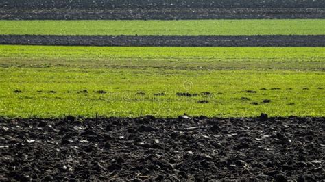 Fertile Soil stock photo. Image of fertilizer, farm - 105888136