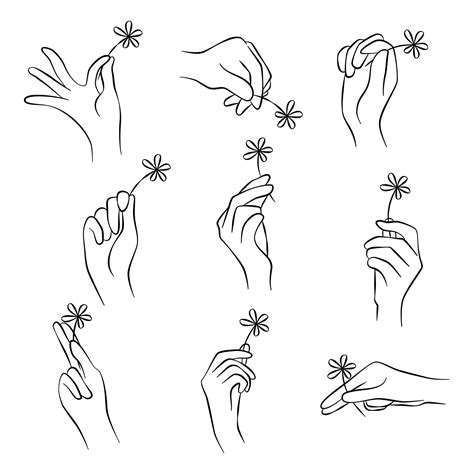 Hands set elements pose holding a little flower. Vector illustration. 8043494 Vector Art at Vecteezy