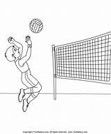 Volleyball Coloring Sheet  Turtle Diary sketch template