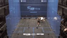 Squash Pvz GIF - Squash Pvz - Discover & Share GIFs