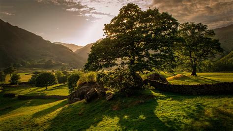 HD wallpaper: 4k, trees, sunset, hills, Ireland, 5k, meadows