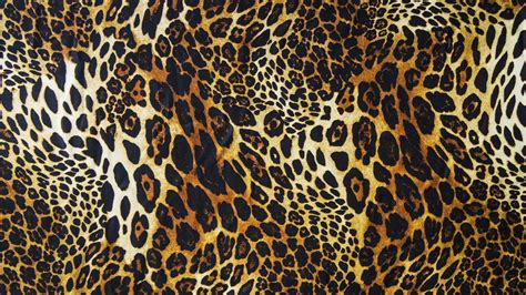 Leopard Print Wallpapers HD