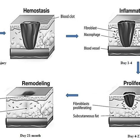 Stress–strain curves of dressing membrane a at dry and b hydrated state ...