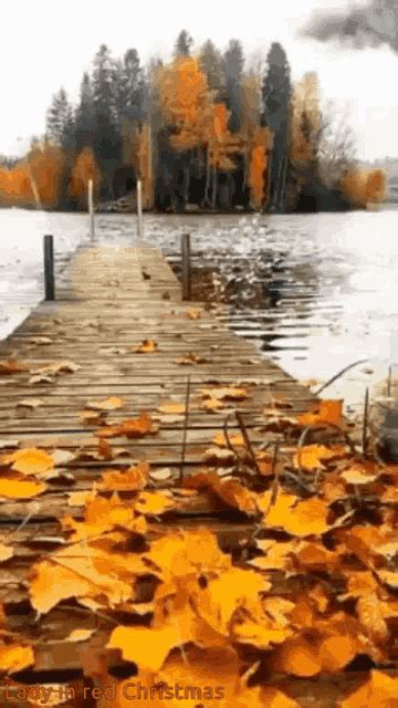 Rainy Autumn GIFs | Tenor