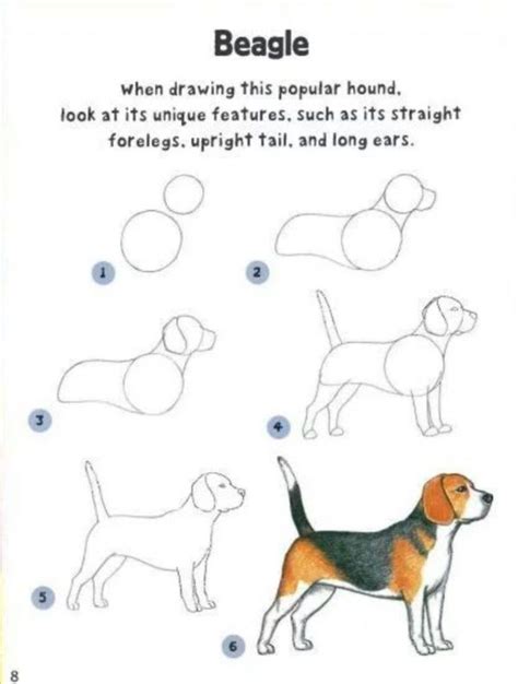 how-to-draw-a-dog-step-by-step-easily | Dog drawing tutorial, Guided drawing, Animal drawings