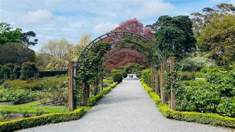 Top 4 things to do in Christchurch Botanic Gardens