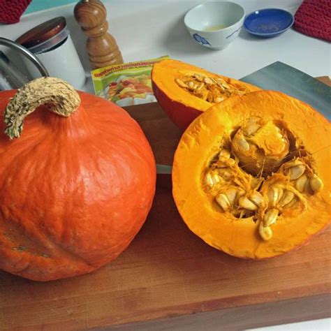 SQUASH Golden Hubbard - Squash – Australian Seed