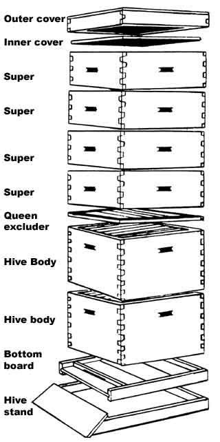 Langstroth Bee Hive Plans - WoodWorking Projects & Plans