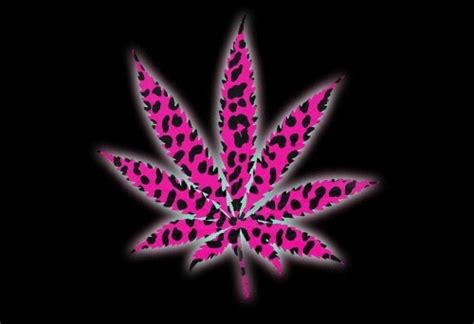 Pink weed | Hippie lettuce | Pinterest | Black, Pink and Pink leopard