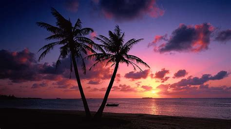 Beach Sunset, Pink Beach HD wallpaper | Pxfuel