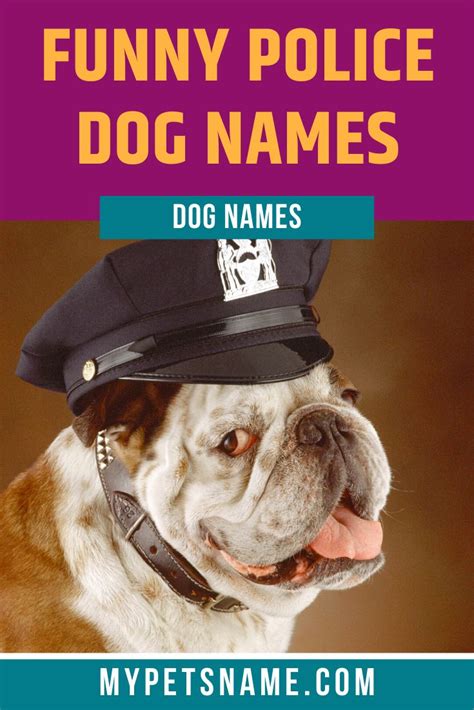 Funny Police Dog Names | Dog names, Police dog names, Police dogs