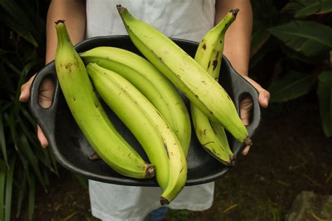 7 Qualities To Look For In Choosing The Perfect Plantains