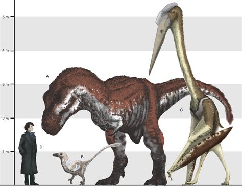 Prehistoric wildlife, Dinosaur, Ancient animals