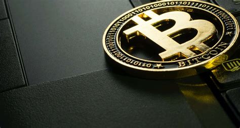 Bitcoin Wallets: Pros and Cons - TurboFinance